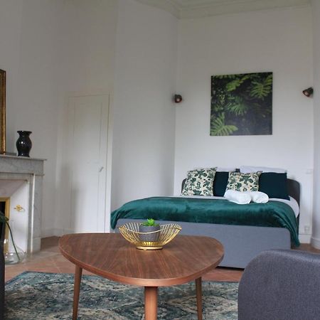Paul Sabatier-T1-Vue Sur Jardin-Luxe-Wifi-Fi-Velo Leilighet Castelnaudary Eksteriør bilde